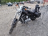 1HD1CT3129K****** Used and Repairable 2009 Harley-Davidson Sportster 1200 Custom in Rec Rides Online Exclusive