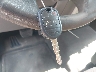 1FTFW1ET5BK****** Salvage 2011 Ford F-150 in Texas State