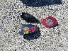 JM1BK12F761****** Wrecked 2006 Mazda 3 in Virginia State