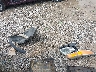 1FM5K8B85DG****** Wrecked 2013 Ford Explorer in Ohio State