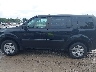 5FNYF4H22FB****** Salvamento 2015 Honda Pilot