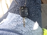1FAHP2DW4AG****** Salvamento 2010 Ford Taurus en Estado de Carolina del Norte