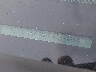 5TFUX4EN0CX****** Repairable 2012 Toyota Tacoma