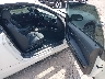 WBAWV13589P****** Usados y Reparables 2009 BMW 3 Series en Estado de Montana
