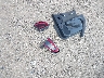 2C3CDXBG9JH****** Wrecked 2018 Dodge Charger in Texas State