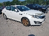 5XXGN4A7XDG****** Salvage and Wrecked 2013 Kia Optima in Albany