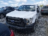1FTEX1CF6HK****** Wrecked 2017 Ford F-150 in Tennessee State