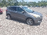 1FMCU0J98EU****** Salvamento y Destrozados 2014 Ford Escape en Jacksonville