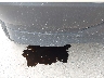 5N1AR2MM1DC****** Salvage and Repairable 2013 Nissan Pathfinder in Maine State