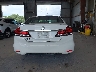 19XFB2F51EE****** Destrozados 2014 Honda Civic