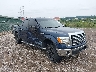 1FTFW1EF0EK****** Salvamento y Destrozados 2014 Ford F-150 en Pittsburgh