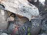 1FTFX1E55MF****** Wrecked 2021 Ford F-150 in Oklahoma City