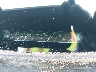 1HGCR2F77DA****** Repairable 2013 Honda Accord