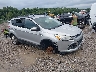 1FMCU0G96DU****** Salvamento y Destrozados 2013 Ford Escape en Columbus