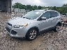 1FMCU0G96DU****** Usados y Reparables 2013 Ford Escape en Columbus