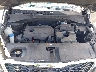 5XYPG4A36KG****** Reparables 2019 Kia Sorento en Clearwater