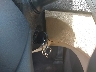5NPEB4AC6DH****** Salvage 2013 Hyundai Sonata in Florida State