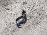 3FAHP0HA6BR****** Destrozados 2011 Ford Fusion en Estado de Georgia