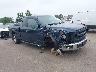 1FTEX1EP7FF****** Salvage and Wrecked 2015 Ford F-150 in Cleveland