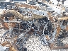 4XARSU994P8****** Wrecked 2023 Polaris Ranger in San Antonio South