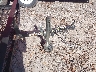 4YMUL0812FG****** Reparables 2015 Carry-On Trailer Utility Trailer en Atlanta South