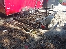 4YMUL0812FG****** Salvamento y Destrozados 2015 Carry-On Trailer Utility Trailer en Estado de Georgia
