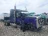 1XP5D69X2WD****** Salvamento 1998 Peterbilt 379