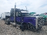 1XP5D69X2WD****** Salvamento y Destrozados 1998 Peterbilt 379 en Specialty Division