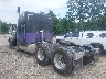 1XP5D69X2WD****** Salvamento y Reparables 1998 Peterbilt 379 en Specialty Division