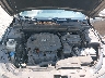 5XXGM4A75FG****** Reparables 2015 Kia Optima en Greenville