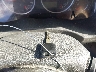 5N1AR1NN0BC****** Salvage 2011 Nissan Pathfinder in Texas State