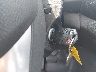 NM0LS7E72J1****** Salvage 2018 Ford Transit Connect in New York State