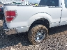 1FTFX1EV7AF****** Destrozados 2010 Ford F-150