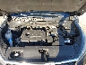 5XYPG4A3XKG****** Repairable 2019 Kia Sorento in Tampa