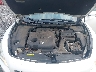 1N4AA5AP4EC****** Reparables 2014 Nissan Maxima en Elkton