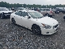 1N4AA5AP4EC****** Salvamento y Destrozados 2014 Nissan Maxima en Elkton