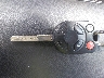 1FADP3K24EL****** Salvage 2014 Ford Focus in Florida State