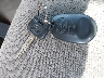 5TDZA23C56S****** Salvage 2006 Toyota Sienna in California State