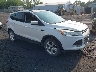 1FMCU9GX0EU****** Salvage and Wrecked 2014 Ford Escape in Scranton