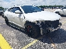 ZPBUA1ZL7KL****** Salvamento y Destrozados 2019 Lamborghini Urus en Miami North