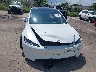 5YJ3E1EA3SF****** Salvamento y Reparables 2025 Tesla Model 3 en Estado de Florida