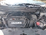 5J6RE48519L****** Repairable 2009 Honda CR-V in Bridgeport