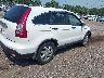 5J6RE48519L****** Salvage and Wrecked 2009 Honda CR-V in Pennsylvania State