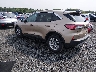 1FMCU0G68MU****** Salvage and Repairable 2021 Ford Escape in Elkton