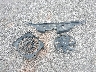 1G2JD12T6T7****** Destrozados 1996 Pontiac Sunfire en Estado de Missouri