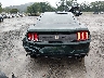 1FA6P8K03K5****** Used 2019 Ford Mustang