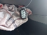 5NPD84LF6HH****** Salvage 2017 Hyundai Elantra in Virginia State