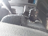 1FTFX1EFXEK****** Salvage 2014 Ford F-150 in New York State