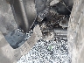 1NXBU4EE7AZ****** Salvamento y Reparables 2010 Toyota Corolla en Estado de California