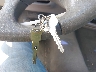 2G4WS52J211****** Salvamento 2001 Buick Century en Estado de Maryland